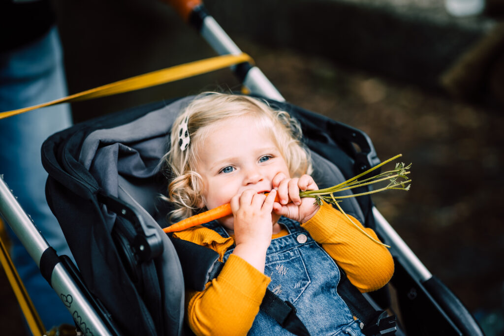 meisje in een kinderwagen eet een wortel